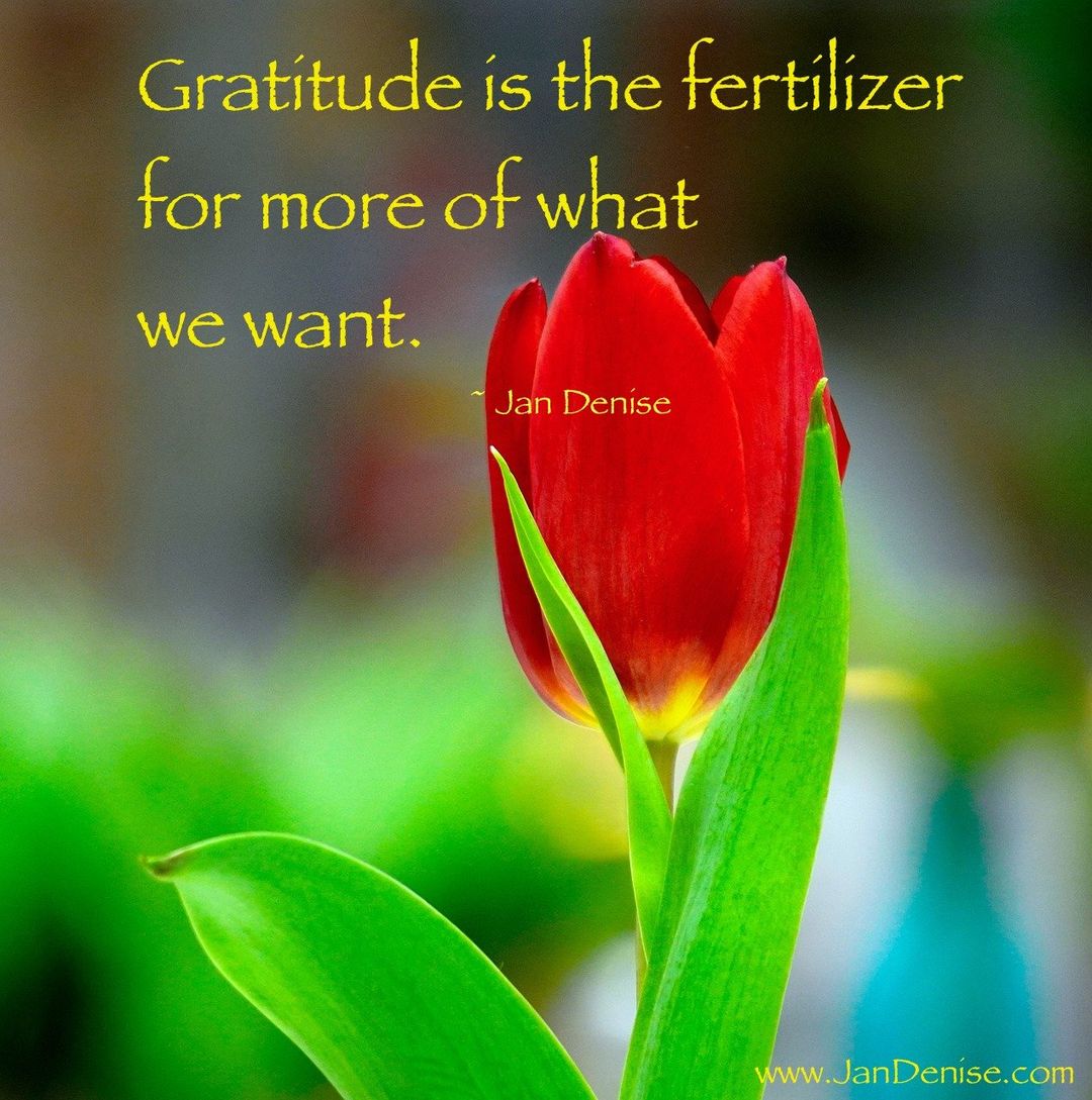Let’s grow what we have with gratitude …