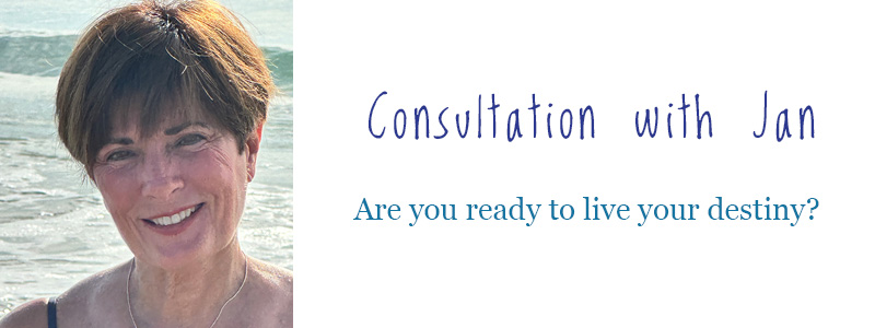 consultations with Jan