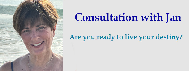 consultation-with-jan